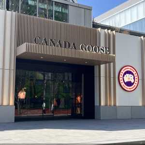 加拿大鹅“待价而沽”